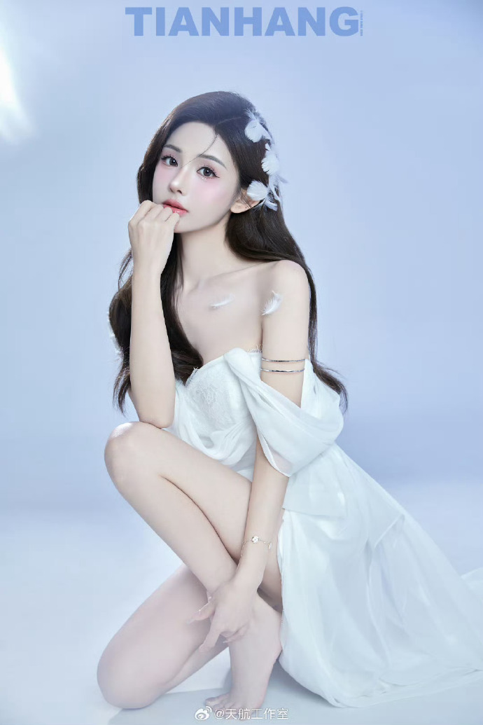 甄嬛传 封面